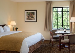 pet friendly hotel in napa valley